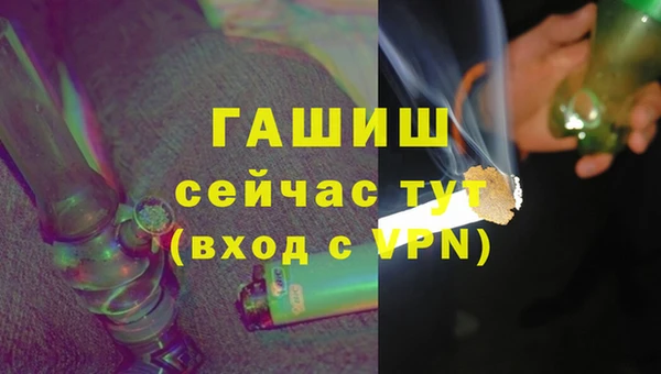 мдпв Заводоуковск