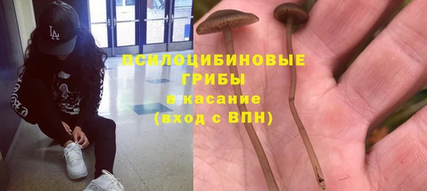 spice Заволжск