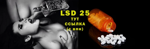 спиды Заволжье