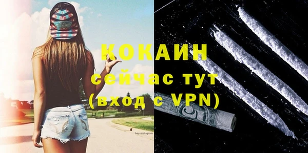 ECSTASY Ельня