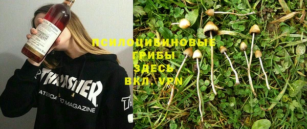 спиды Заволжье