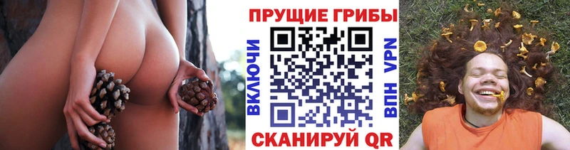 Галлюциногенные грибы MAGIC MUSHROOMS  купить  цена  Зубцов 